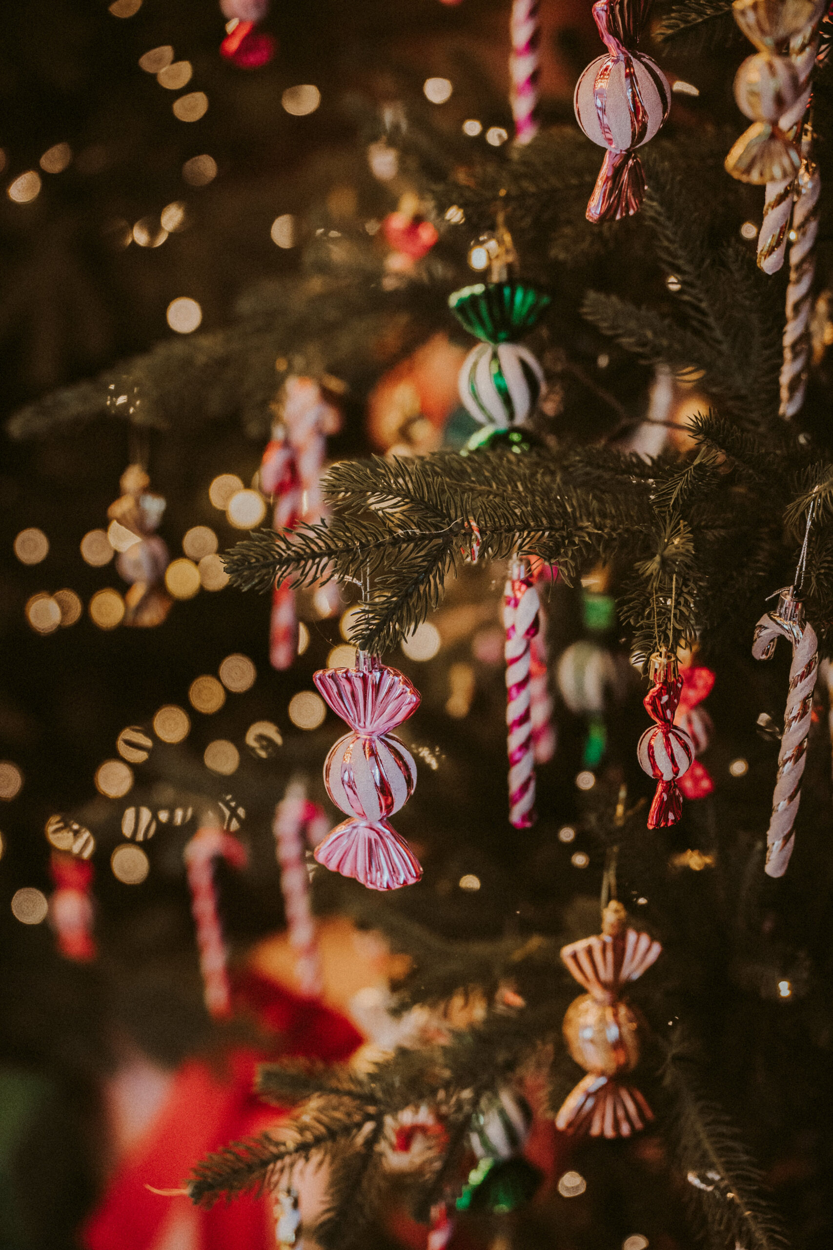 Cyrk first_small 002